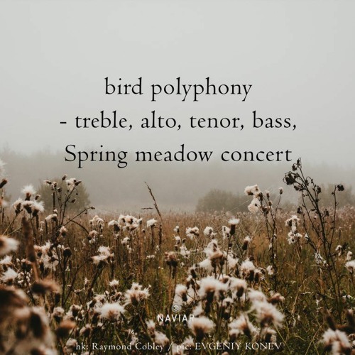 Polyphony Meadow [naviarhaiku495]