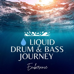 💧 Liquid Drum & Bass Journey | Soothing Female Vocals 🎤🎧