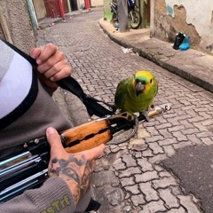 #MC TIERRY 🇬🇭🇧🇷 MINHA MENTE CRIMINOSA