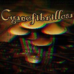 Cyanofibrillosa