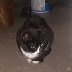 One (Don't Give Up On Love)