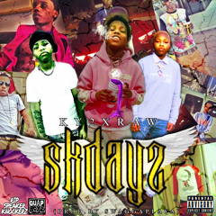 SKDAYZ