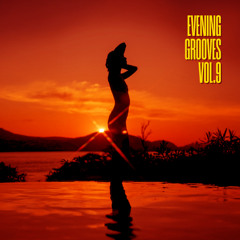 EVENING GROOVES VOL.9