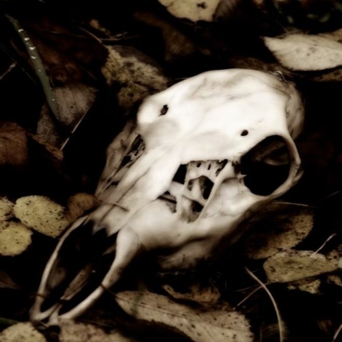 Novemthree - Soil Binds Breath And Bone