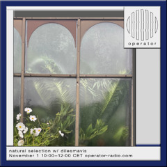 natural selection w/ dilesmavis - 1st November 2025