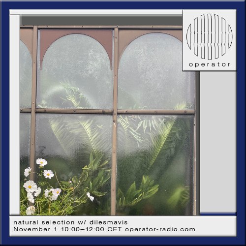 natural selection w/ dilesmavis - 1st November 2025