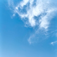 graceful abundance 1