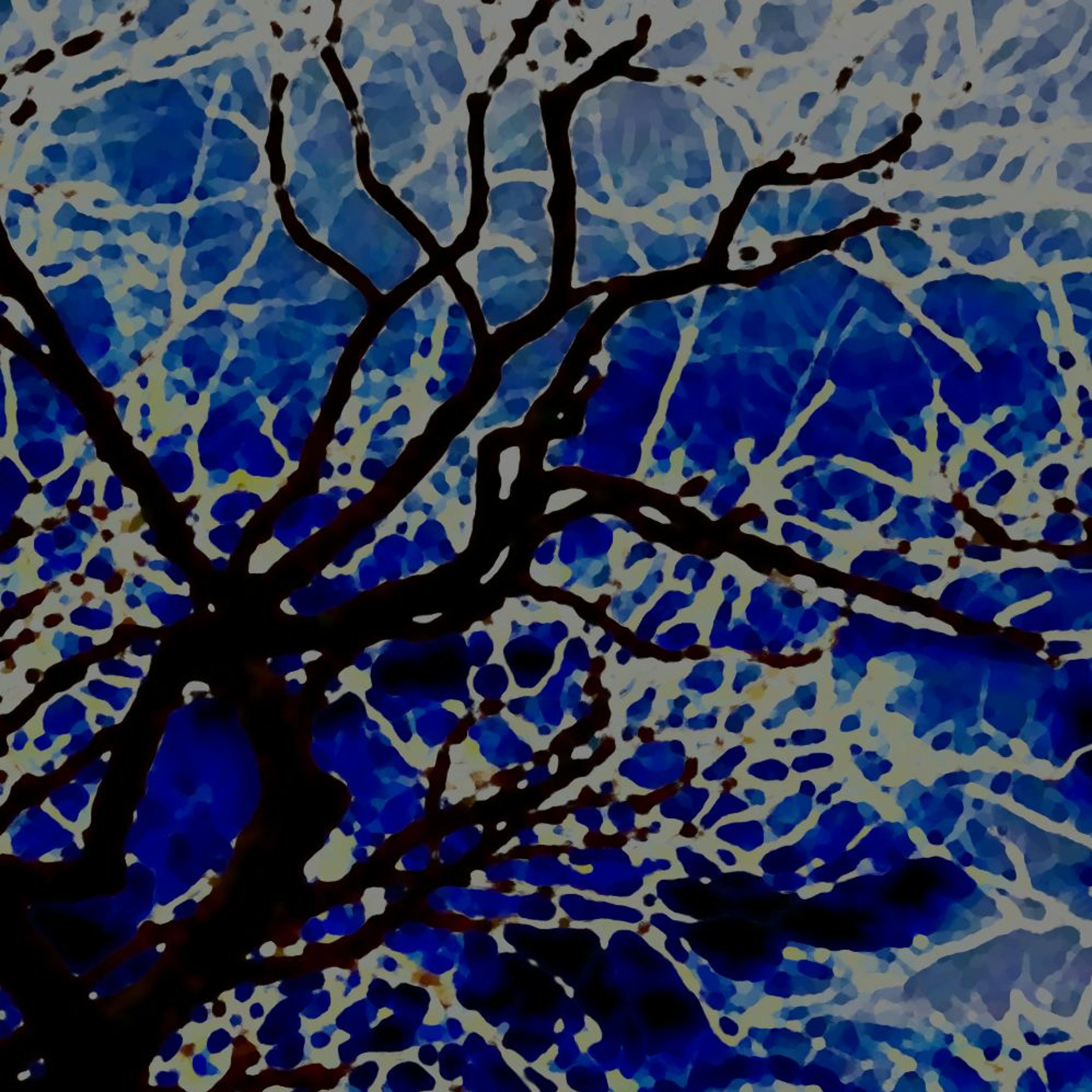 Bare Tree (naviarhaiku476) episode artwork