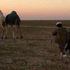 تلاوة من سورة النساء|| عبدالرحمن الماجد.