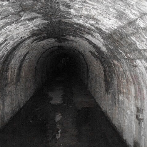 analog_mannequin - milk cassette x.mp3 - demo (pitch)