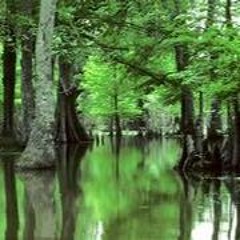 Azogue Swamp - Giant Steps (2011?)