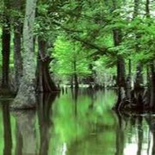 Azogue Swamp - Giant Steps (2011?)