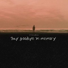 Say Goodbye In Memory