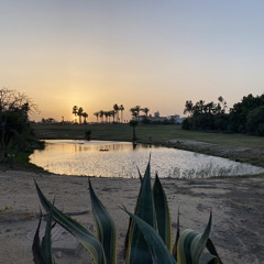 ALQITHARA