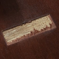 Consideration - Rihanna (uke cover)