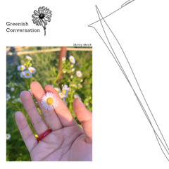 Greenish Conversation