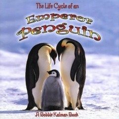 Get EPUB KINDLE PDF EBOOK Emperor Penguin (Life Cycle of A...(Paperback)) by  Bobbie