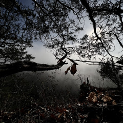 La Mer (Slow and Lost Remix)