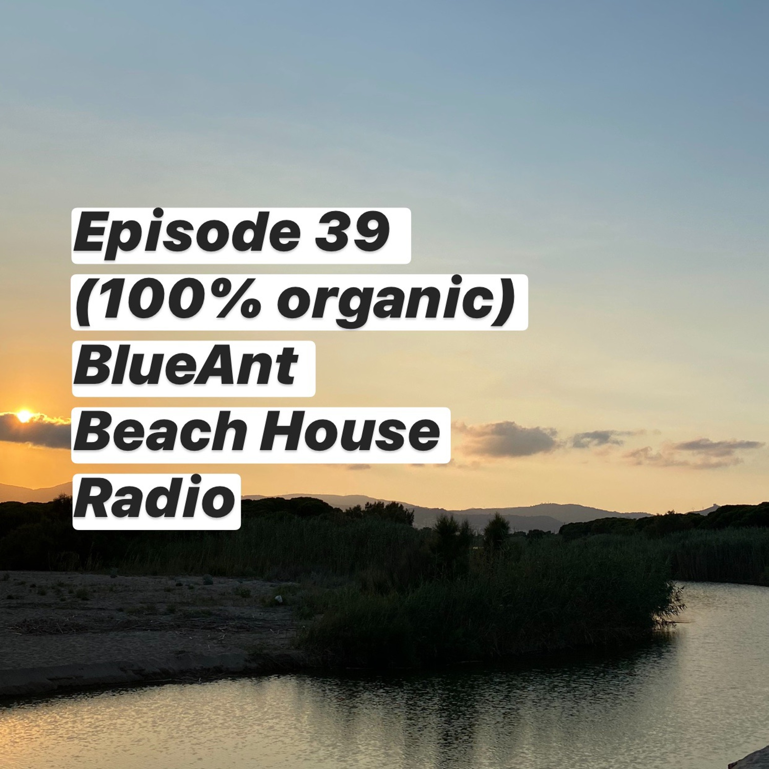BlueAnt Beach House Radio