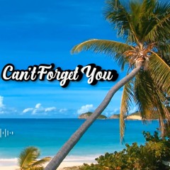 Nick Motion - Can't Forget You (Original Mix)*FREE DOWNLOAD