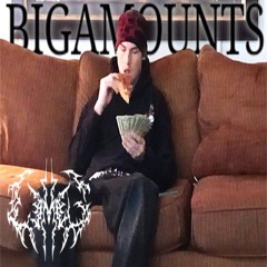 bigamounts