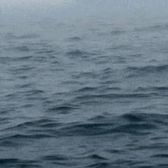 Alt Post