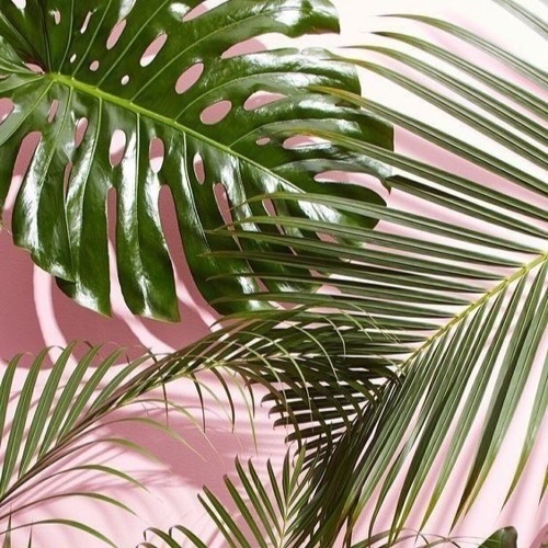 عبدالمجيد عبدالله - عمري مافكرت فيك