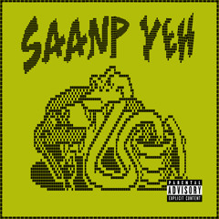 Saanp Yeh ft. Meer