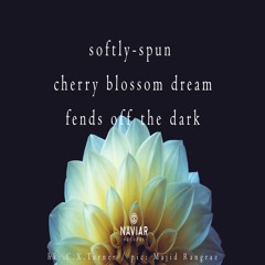 halF spuN [naviarhaiku435]