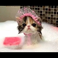 Warshin' My Big Ol' Pussy