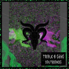 TRIPLE 6 GANG