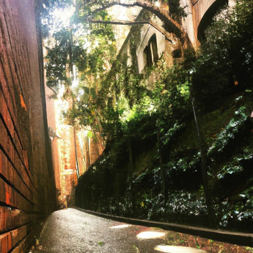 newlookatlife version 1