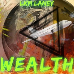 LKM Laney - Wealth