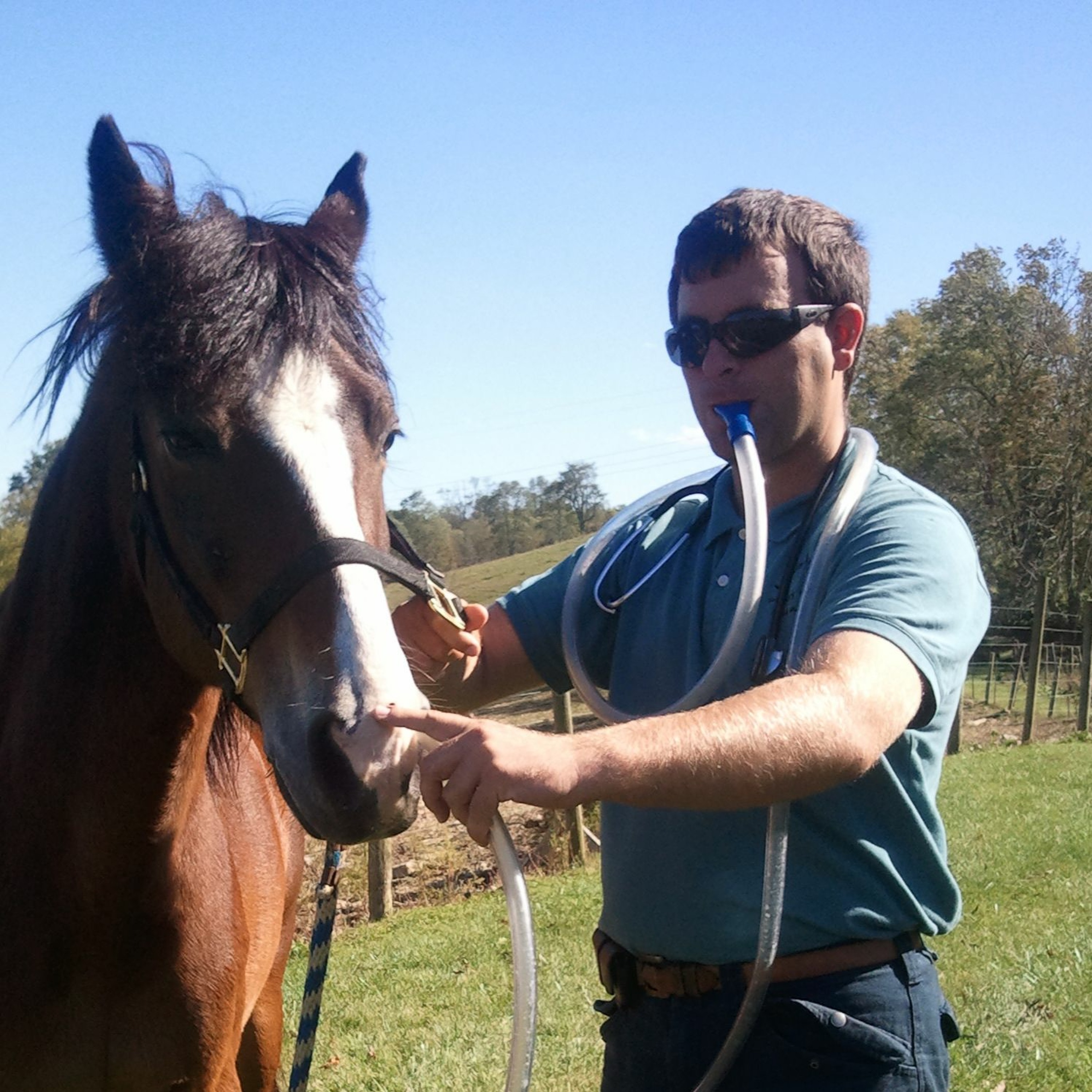 Vet Talk the Veterinary Podcast