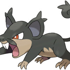 mice