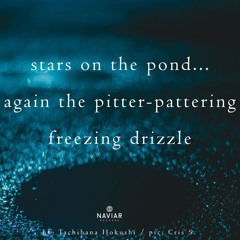 Cruel Cycle Of Life (naviarhaiku561)