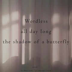 The Shadow Of A Butterfly (naviarhaiku532)