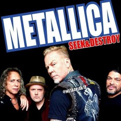 Metallica 🎸