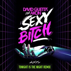 David Guetta feat. Akon - Sexy Bitch (AX1S's Tonight Is The Night Remix)