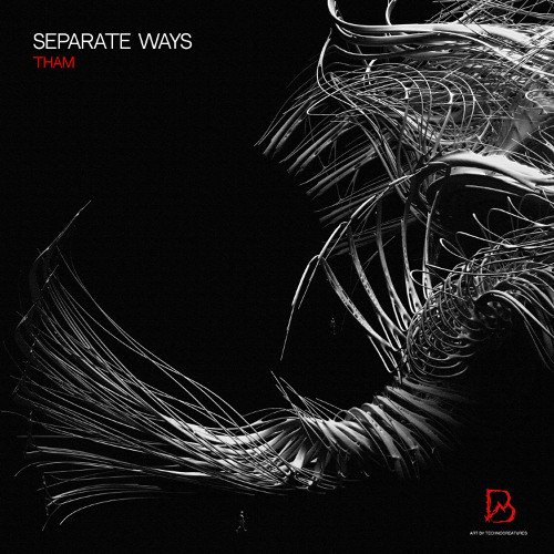 PREMIERE: Tham - Separate Ways (Original Mix) [10-DAY FREE DL]