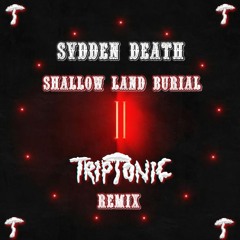 Svdden Death - Shallow Land Burial (TRIPTONIC REMIX)