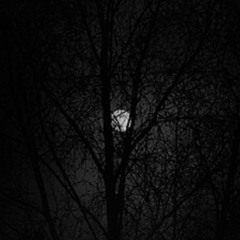 M I D N I G H T - Ultra Slowed and Reverbed