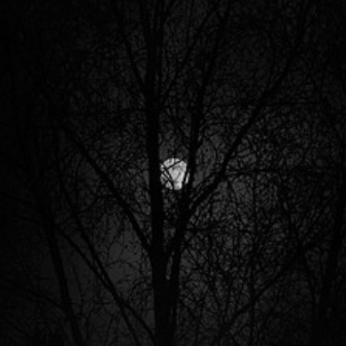 M I D N I G H T - Ultra Slowed and Reverbed