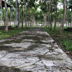 Phiến lá tĩnh lặng (April’s Theme)