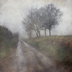 nmbr9/she p.5kjordan