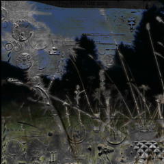 +ethe.r.ealm :: oneir0glyphs+ 002 w/ Siålviå (19.10.25)