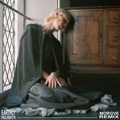 EARTHLY DELIGHTS (MORGVE remix)