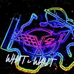 What i Want Freestyle w/Turtle (prod. Young Taylor)