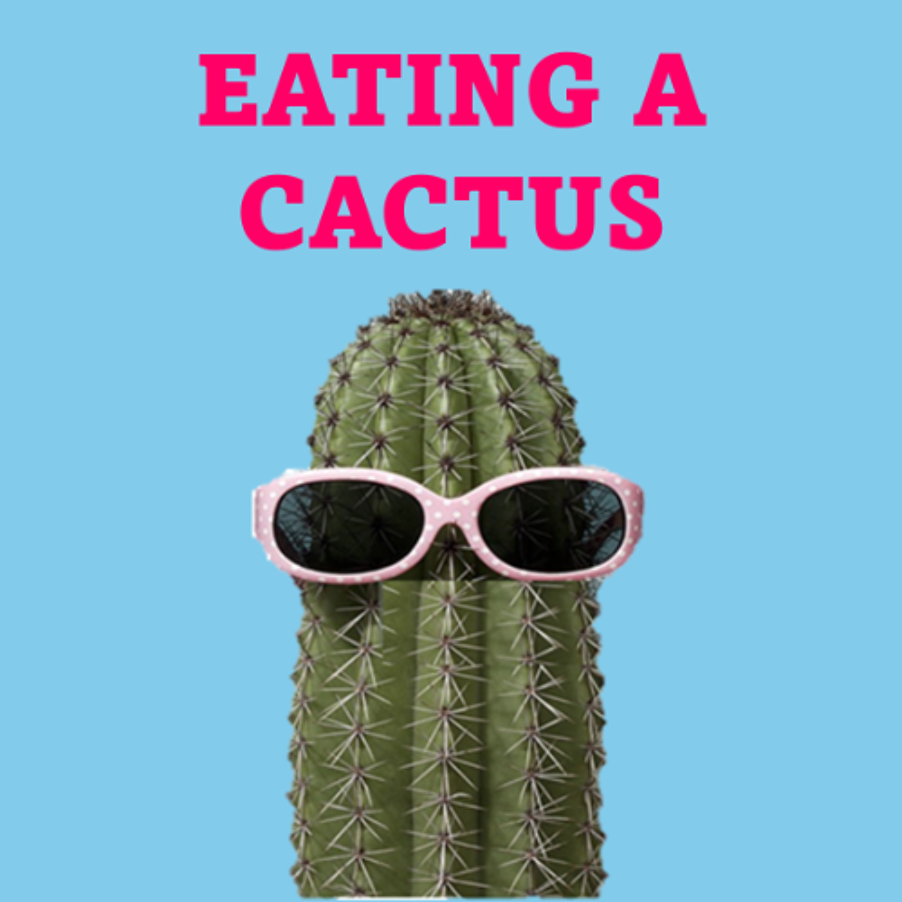 Eating A Cactus - Elisa, Zahia, Liana and Lara - St Brigid's School episode artwork