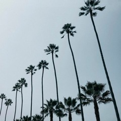 Paradise Summer